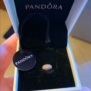 Pandora Essence Collection “confidence” charm
